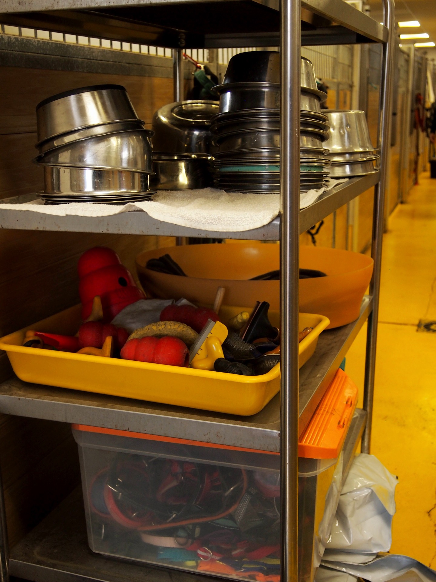 Parte del material de La Protectora. Fuente: propia.